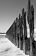 What Remains 37